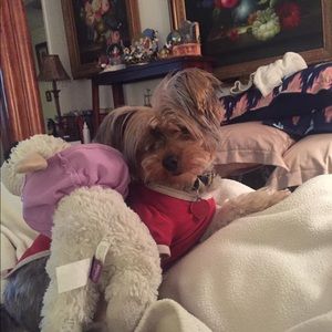 Meet your Posher, Elizabeth